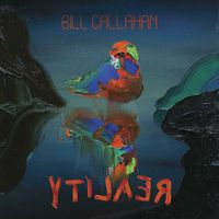 Bill Callahan - Natural Information