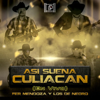 Fer Mendoza y Los de Negro - Asi Suena Culiacán