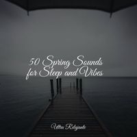 Chakra Balancing Sound Therapy, Meditation, Reiki Tribe - 50 Spring Sounds for Sleep and Vibes