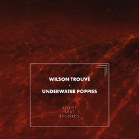Wilson Trouvé - Underwater Poppies