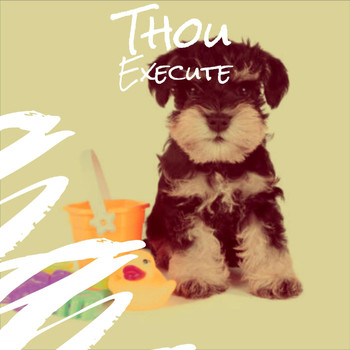 Various Artists - Thou Execute