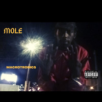 Mole - Macrotronics (Explicit)