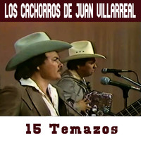 Los Cachorros De Juan Villarreal - 15 Temazos