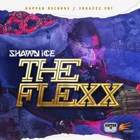 Shawn Ice - The Flexx