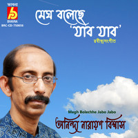 Anindya Narayan Biswas - Megh Bolechhe Jabo Jabo