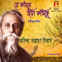 Anindya Narayan Biswas - Je Kadone Hiya