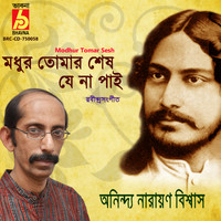 Anindya Narayan Biswas - Modhur Tomar Sesh
