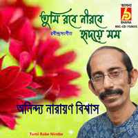 Anindya Narayan Biswas - Tumi Robe Nirobe