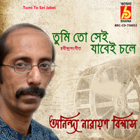 Anindya Narayan Biswas - Tumi To Sei Jabei