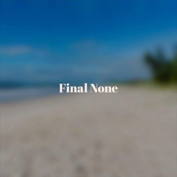 Various Artists - Final None