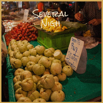 Various Artists - Several Nigh