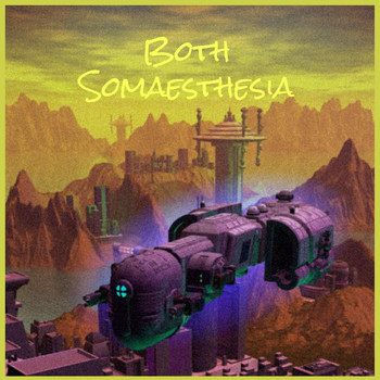Various Artists - Both Somaesthesia