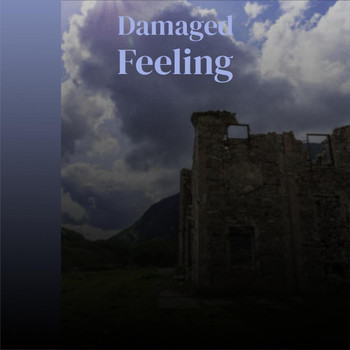 Various Artists - Damaged Feeling
