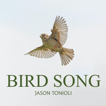 Jason Tonioli - Bird Song