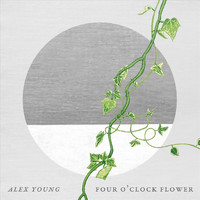 Alex Young - Four O'clock Flower