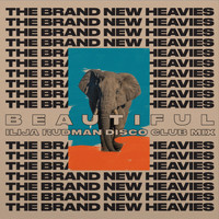 The Brand New Heavies - TBNH Ilija Rudman Mixes