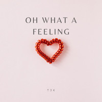 Tjk - Oh What a Feeling (Explicit)