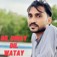 Sher Kumbher - Dil Dinay Dil Watay