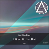 Bodhi Adityo - It Don't Go Like That