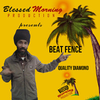 Quality Diamond - Beat Fence