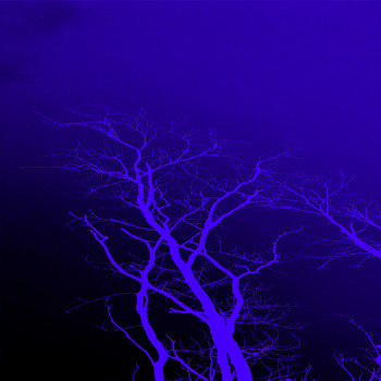 yanari - Witch Destiny