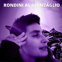 Thomas - Rondini al Guinzaglio