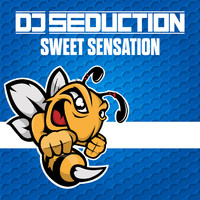 DJ Seduction - Sweet Sensation