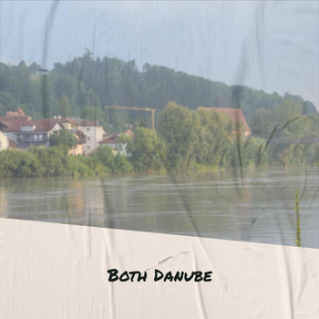 Various Artists - Both Danube