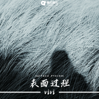Vivi - 表面过程