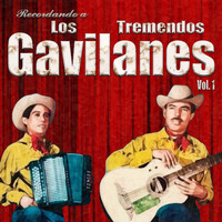 Los Tremendos Gavilanes - Recordando A, Vol. 1