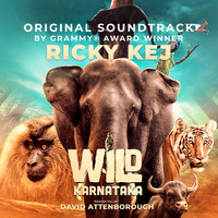 Ricky Kej - Wild Karnataka