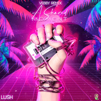 Lush - A Shared Moment (Vebby Remix)