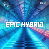 Steve Booke - Epic Hybrid