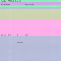 Seb Wildblood - Lift Me Higher (Remotif Remix)