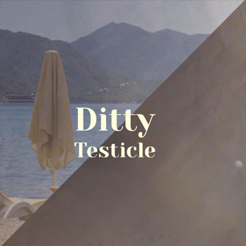 Various Artists - Ditty Testicle