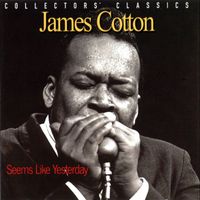 James Cotton - Seems Like Yesterday (Live)