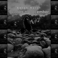 Aaron Nervs - Echoes of December