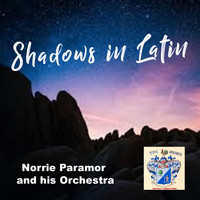 Norrie Paramor - Shadows in Latin
