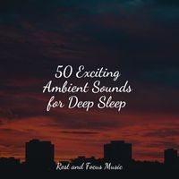 Mindfulness Mediation World, Monarch Baby Lullaby Institute, Exam Study Classical Music Orchestra - 50 Exciting Ambient Sounds for Deep Sleep