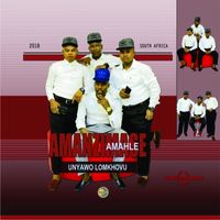 Amanzimase Amahle - Unyawo Lomkhovu