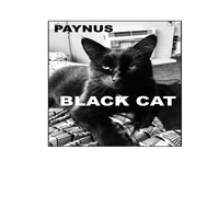 Paynus - Black Cat