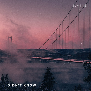 Ivan B - I Didn't Know