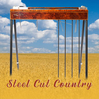 Dan Kelly - Steel Cut Country