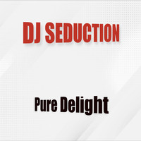DJ Seduction - Pure Delight