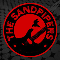 The Sandpipers - I'll Raise a Glass