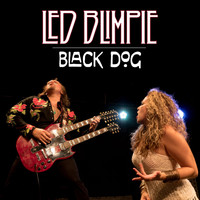 Led Blimpie - Black Dog (Live)