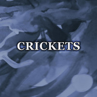 Tritonal - Crickets