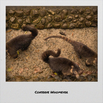 Various Artists - Conserve Whomever