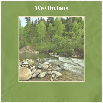 Various Artists - We Obvious
