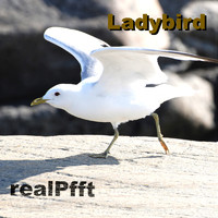 realPfft - Ladybird